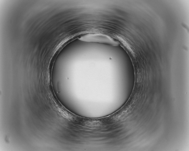 X0000097000837200802221519