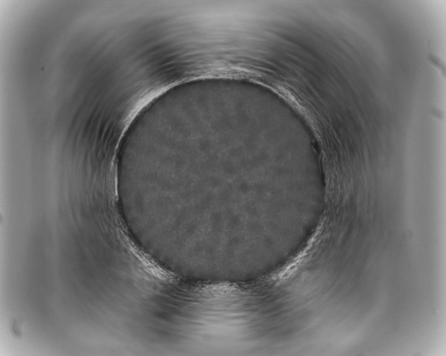 X0000097000838200802221519