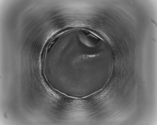 X0000097000840200802221519