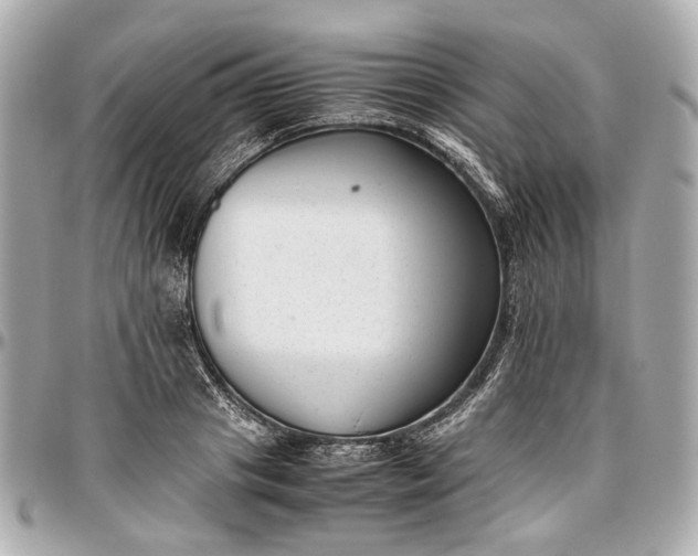 X0000097000841200802221519