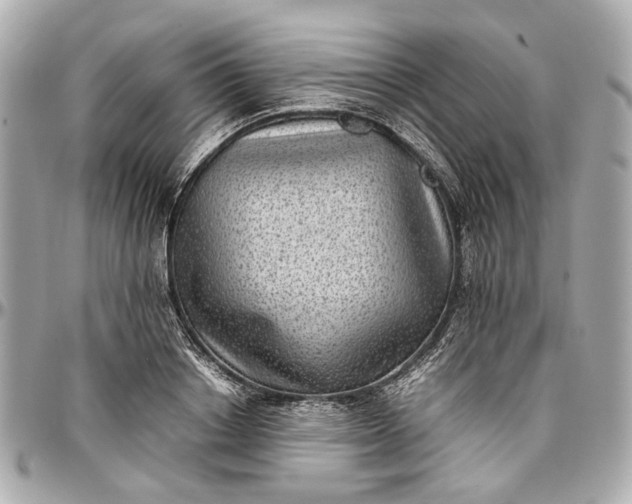 X0000097000842200802221519