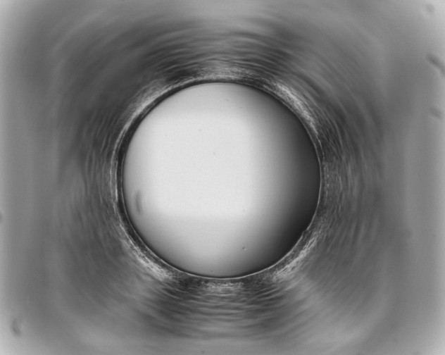 X0000097000843200802221519