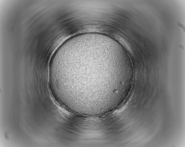 X0000097000844200802221519