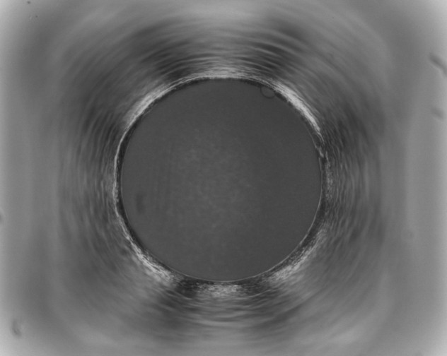 X0000097000845200802221519