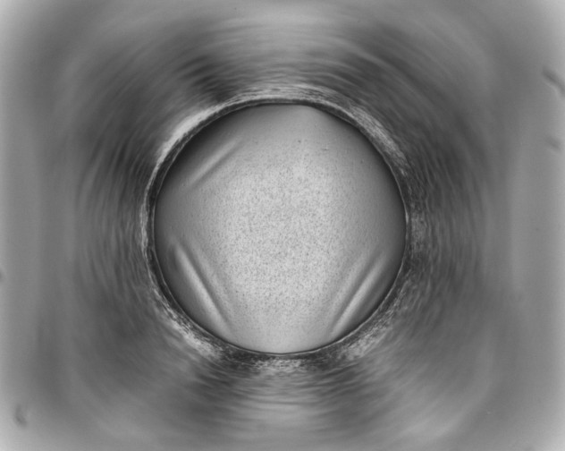 X0000097000846200802221519