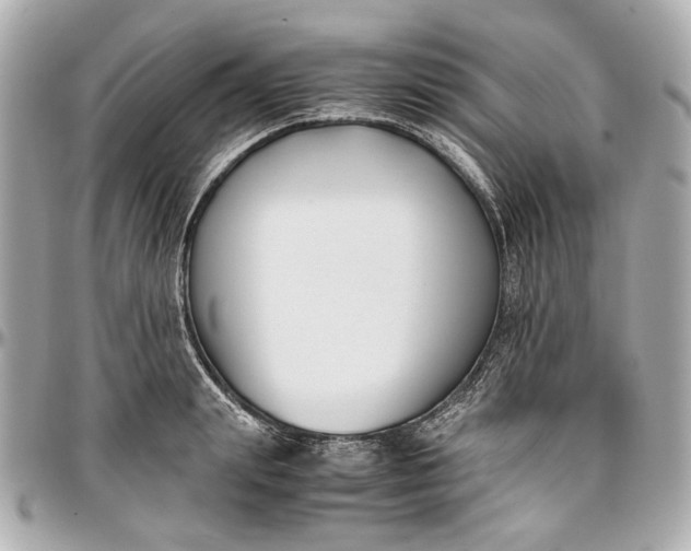 X0000097000847200802221519