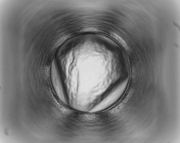 X0000097000849200802221519