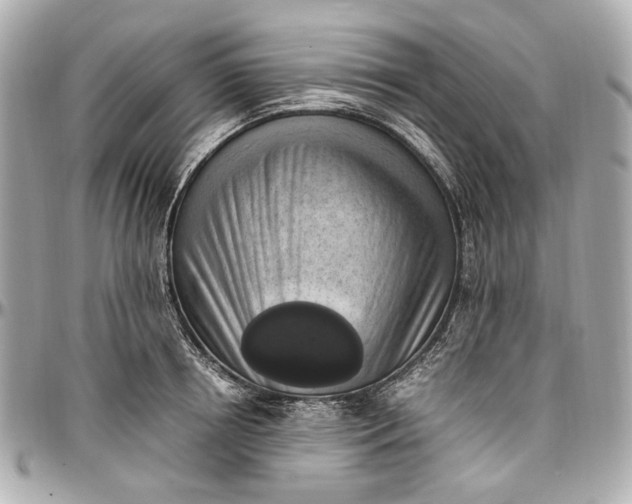 X0000097000850200802221519