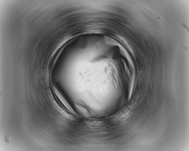 X0000097000851200802221519