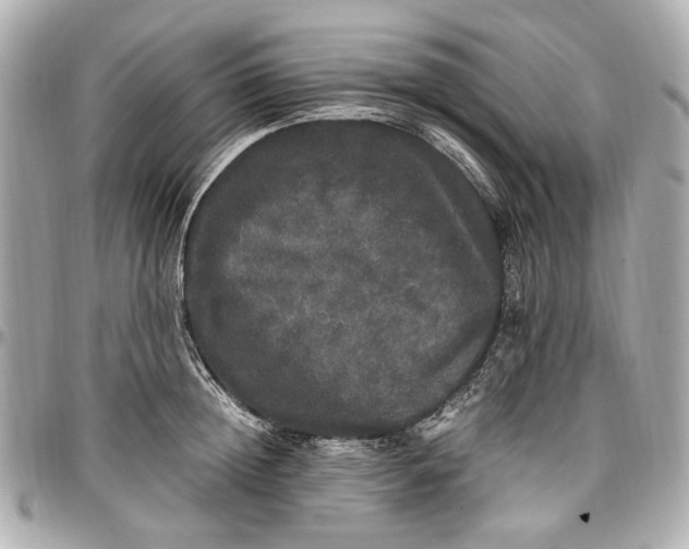 X0000097000852200802221519