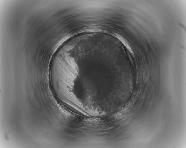 X0000097000853200802221519