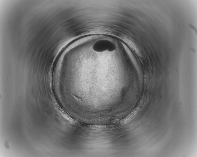 X0000097000854200802221519