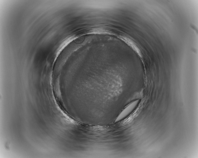 X0000097000855200802221519