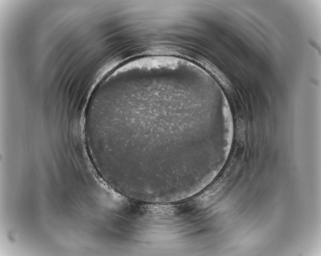 X0000097000856200802221519