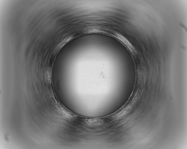 X0000097000857200802221519