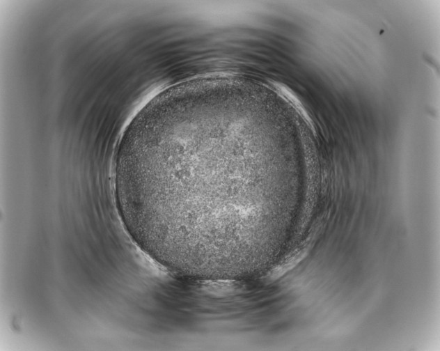 X0000097000859200802221519