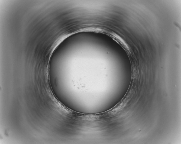 X0000097000860200802221519