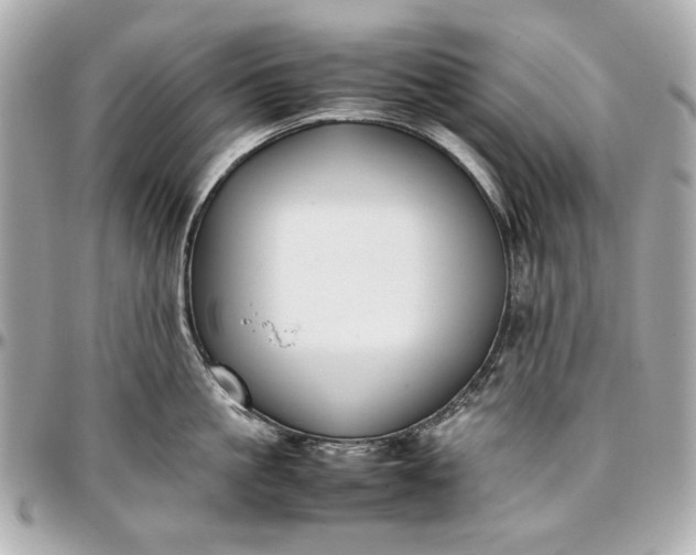 X0000097000861200802221519