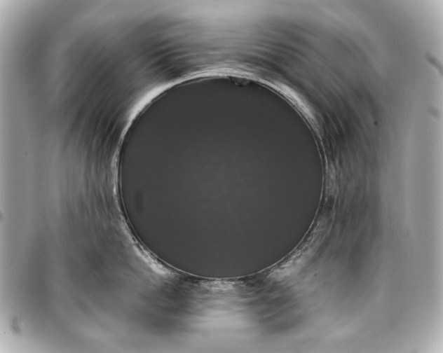 X0000097000862200802221519