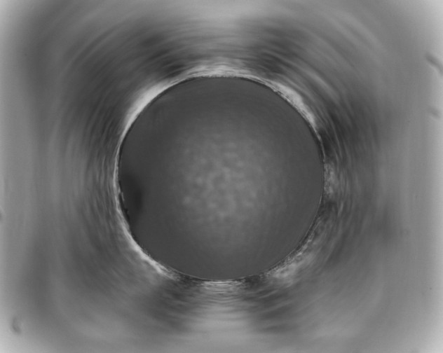 X0000097000863200802221519