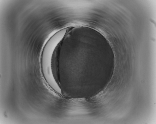 X0000097000864200802221519