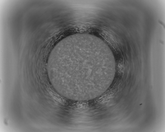 X0000097000865200802221519