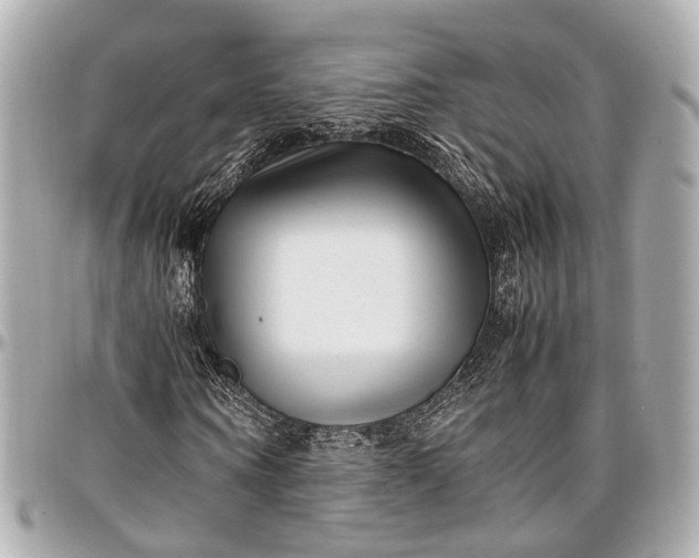 X0000097000866200802221519