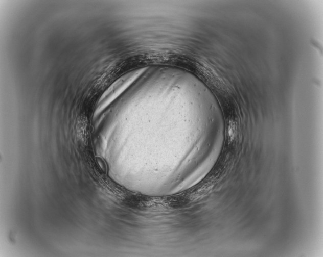 X0000097000867200802221519