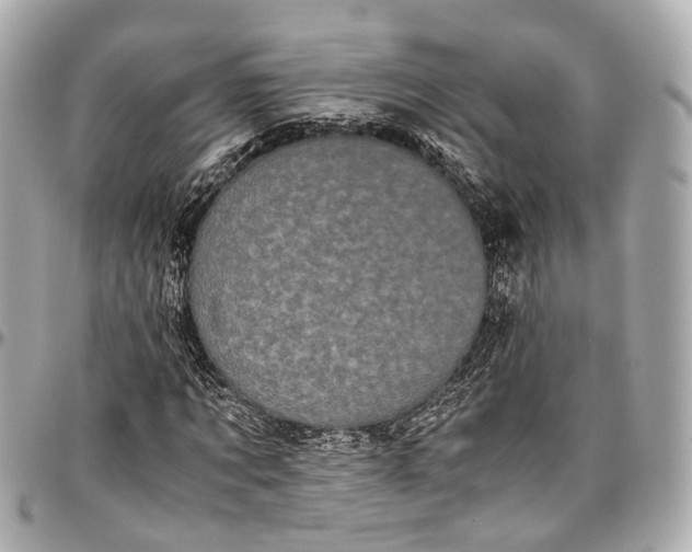 X0000097000869200802221518