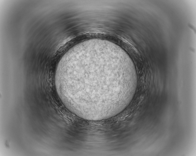 X0000097000870200802221518