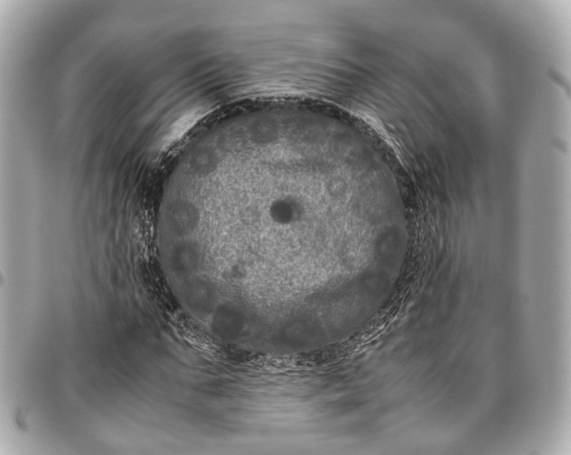 X0000097000871200802221518