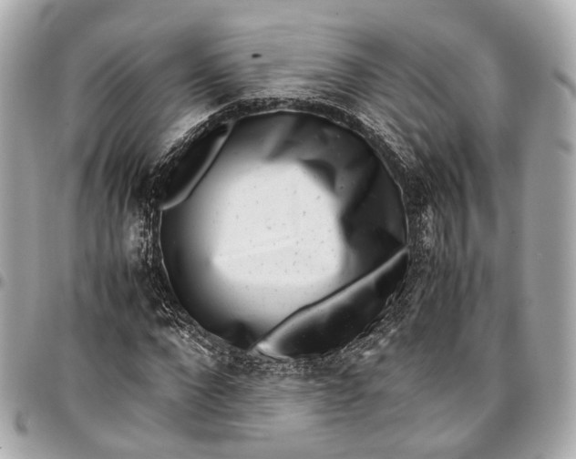 X0000097000872200802221518