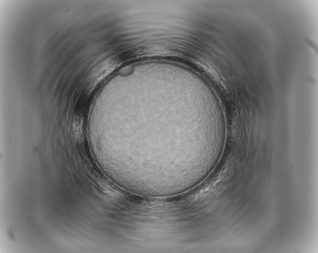 X0000097000873200802221518