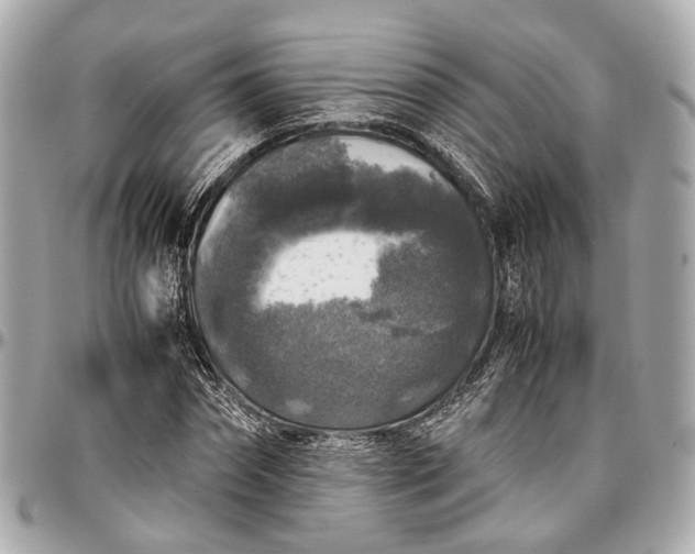 X0000097000874200802221518