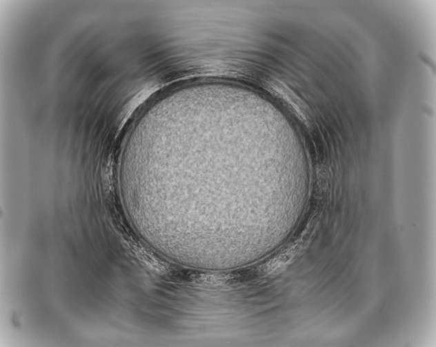 X0000097000875200802221518