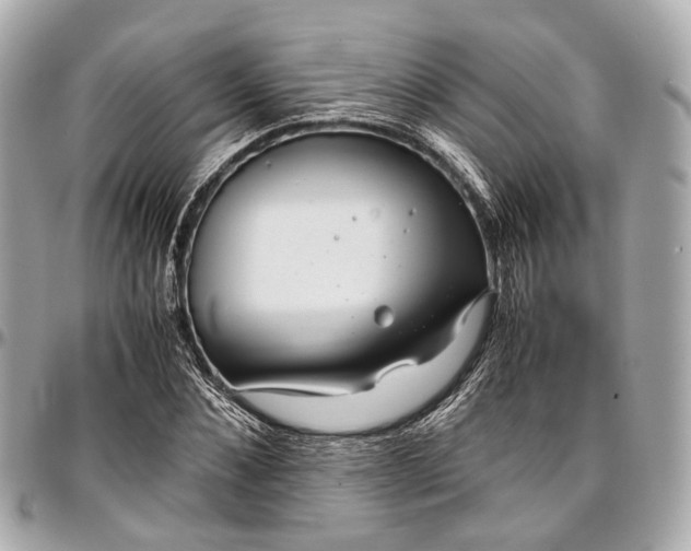 X0000097000876200802221518