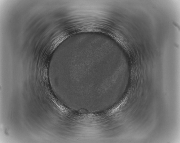 X0000097000881200802221518