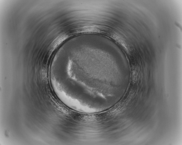 X0000097000882200802221518