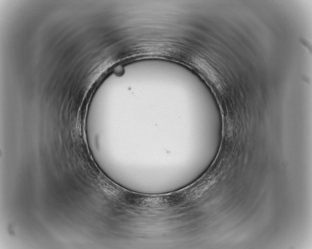 X0000097000883200802221518