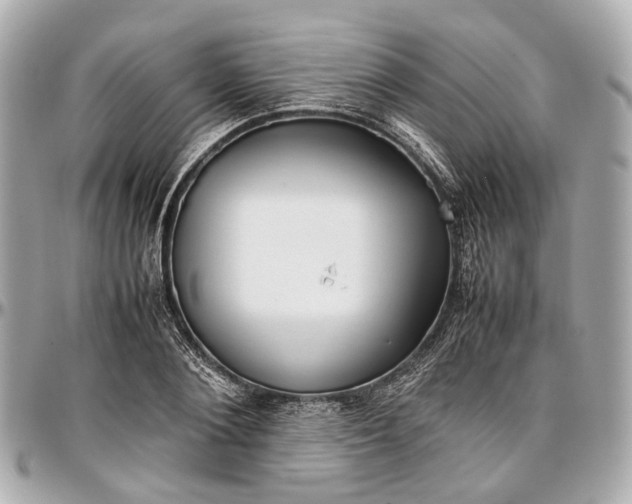 X0000097000884200802221518