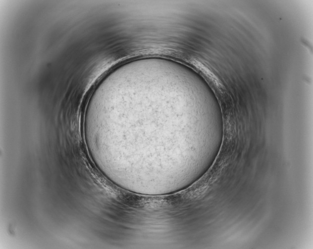 X0000097000886200802221518