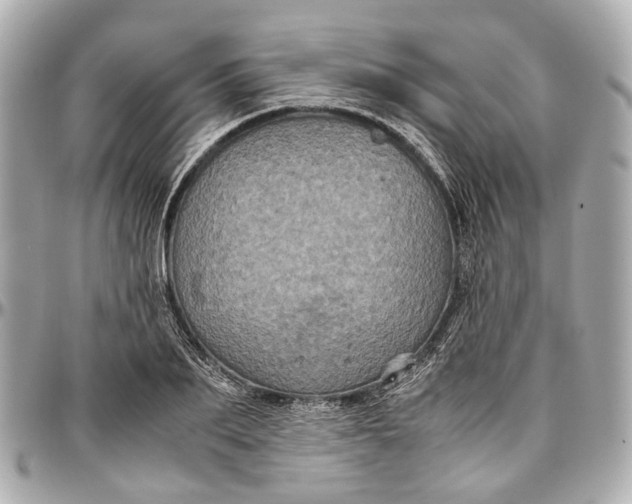 X0000097000887200802221518