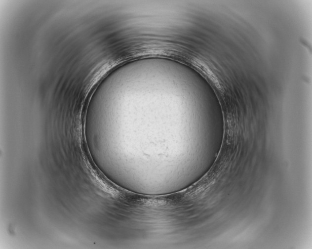 X0000097000890200802221518