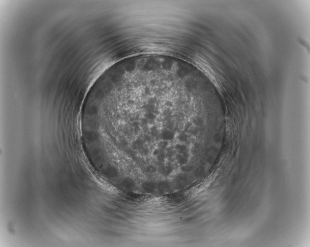 X0000097000891200802221518