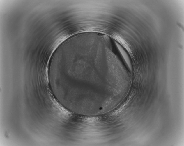 X0000097000892200802221518