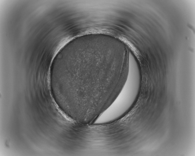 X0000097000894200802221518