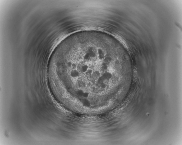 X0000097000895200802221518