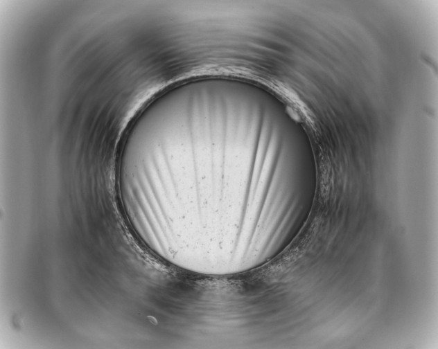 X0000097000896200802221518