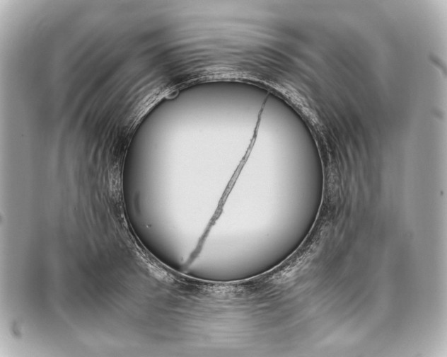 X0000097000897200802221518