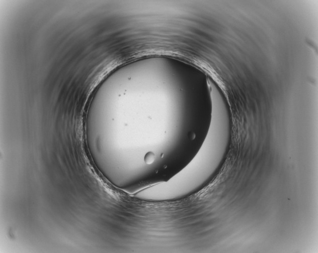 X0000097000898200802221518